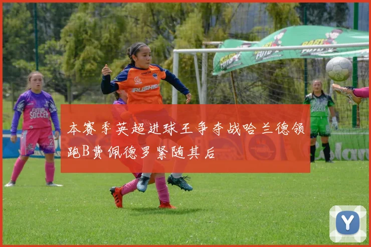 本赛季英超进球王争夺战哈兰德领跑B费佩德罗紧随其后